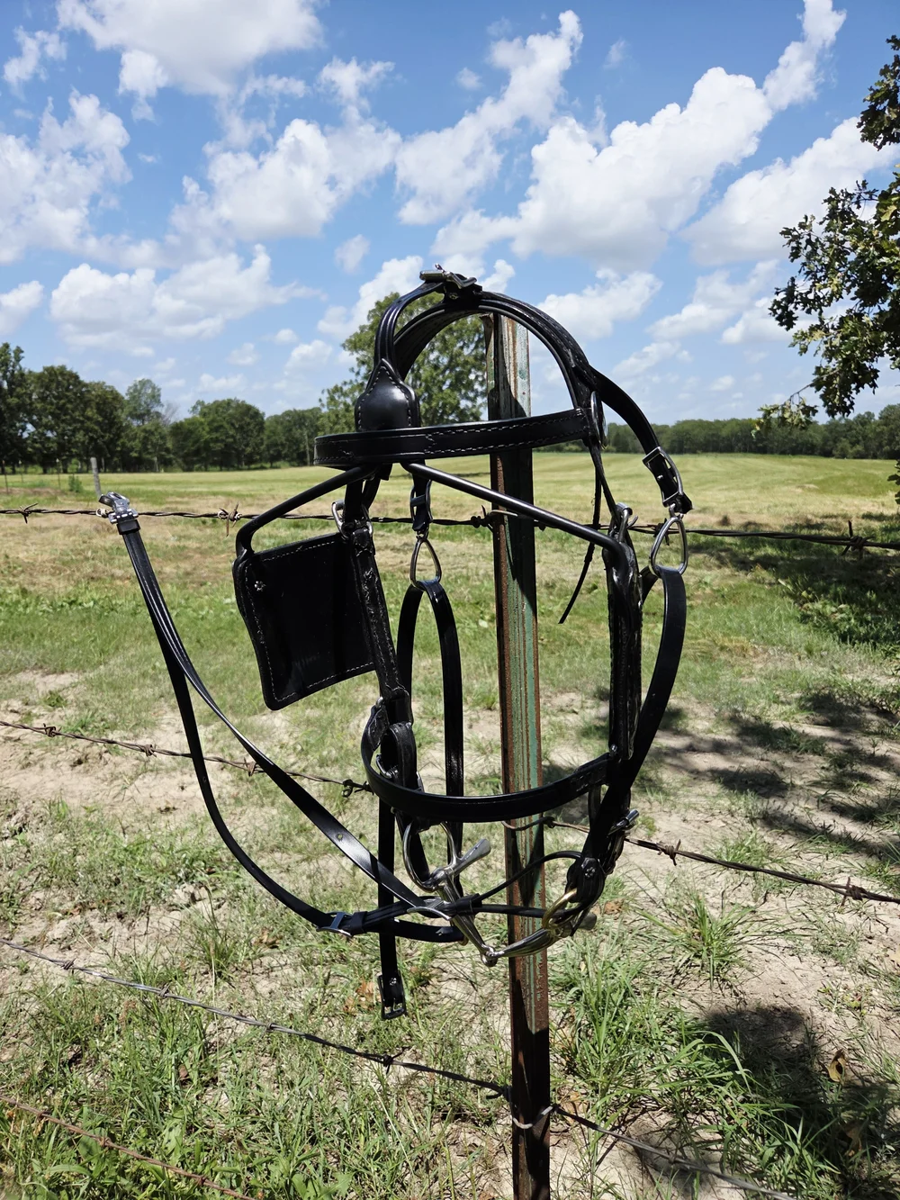 Amish Made Driving Bridle Brahma Webb/Biotane Full Horse w/bit exceptional